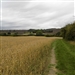 Edgcote battlefield