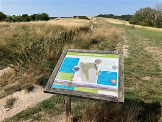 Lewes battlefield