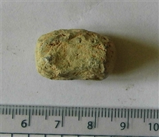 Probable carbine slug