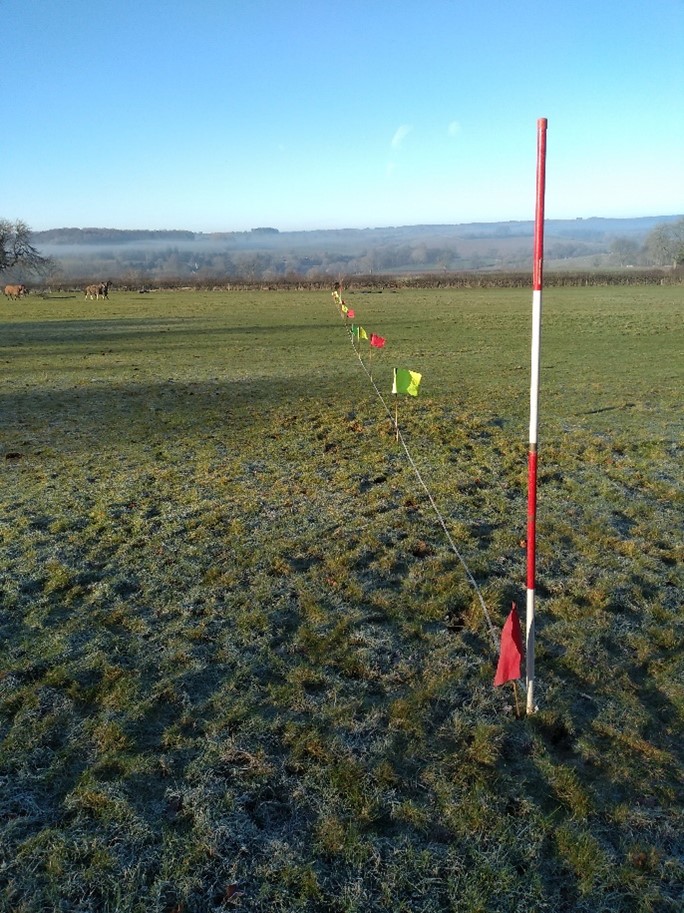 Stow metal detecting survey markers Stow metal detecting survey markers