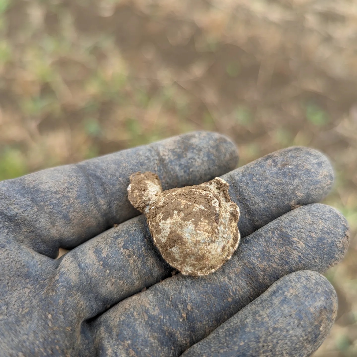 Bullet find at Langport Bullet find at Langport