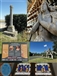 Memorials on the new database