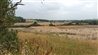 HS2 storing earth of the Edgcote battlefield (Photo: Graham Evans)