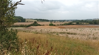 HS2 storing earth of the Edgcote battlefield (Photo: Graham Evans)