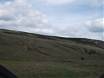 Click on this image to enlarge