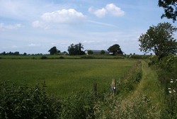The suggested position of the Scottish battle array, around Clot House Farm. The farm sits slight rising ground above the floodplain, from which the picture was taken, near the NW corner of Myton Pastures.