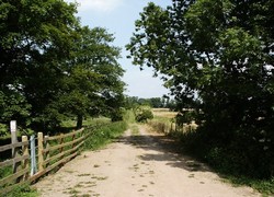 The lane running from the present bridge into Myton Pastures, looking east.