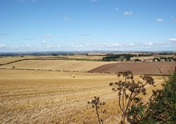 Centre of battlefield looking north west from Branxton Hill
