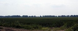 Myton Pastures viewed from the north west, looking towards Myton village.