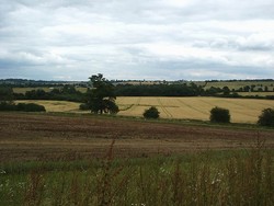 Looking north east towards Danesmoor Spinney, on the valley floor, from the north eastern slopes of Edgcote Hill.