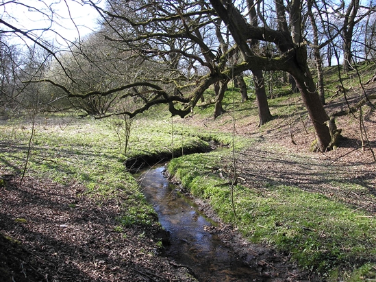 Newton Brook and banking
