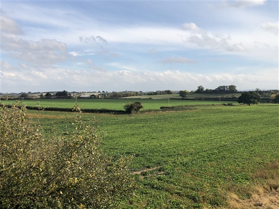 View of the battlefield from the royalist right