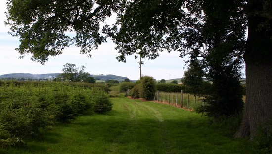 former London - Aberystwyth road