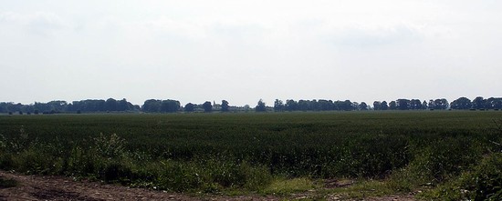 Myton Pastures from the north west