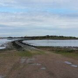 The East Anglian Region Howard Simmons